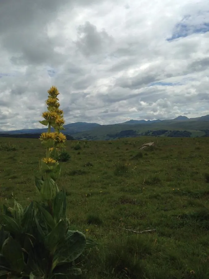 Les Acajous Bed & Breakfast Chalinargues